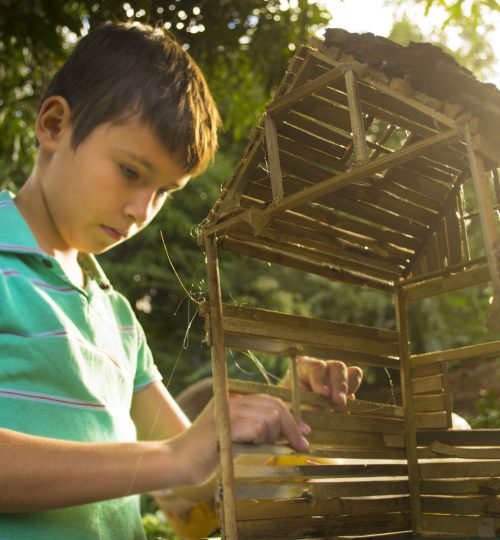 boy-making-wooden-house-miniature-2387917